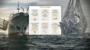 Especies en peligro, barcos chinos y millones en pérdidas: alarma mundial por los piratas de la pesca