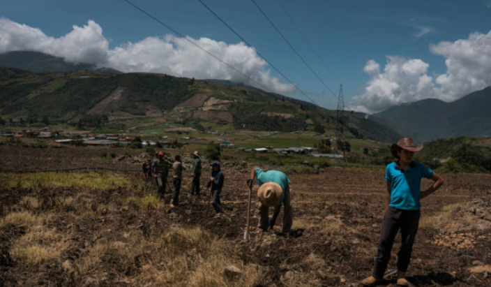 Sector agrícola en Los Andes exige condiciones para aumentar la producción