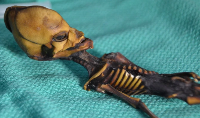 El misterio del esqueleto momificado de un “alienígena” encontrado en el desierto de Chile que desconcertó a los científicos (FOTOS)