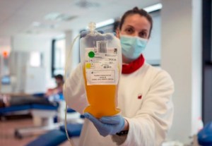OMS desaconsejó el uso de plasma de convalecientes en pacientes con coronavirus