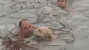 VIRAL: El rescate de un perrito en un lago helado de España que conmovió al mundo (VIDEO)