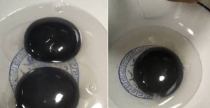 El enigma del ganso que pone huevos de yema negra que desconcierta a los especialistas