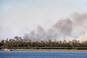 Los incendios siguen asolando varias zonas de Argentina en plena ola de calor