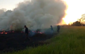 Al menos siete incendios de vegetación se reportaron en las últimas 24 horas en Montalbán, Carabobo