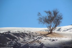Una nevada tiñe de blanco las dunas en la “puerta de entrada al desierto” del Sáhara (FOTOS)