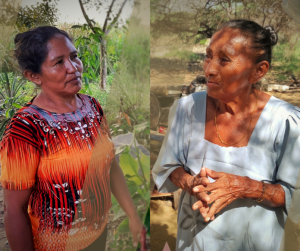 Culturas indígenas: cuando los jivi y los wayuu dejan su territorio ancestral