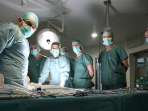 España se mantiene como referente mundial en trasplantes de órganos