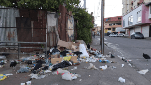 Así de olvidado tiene el gobernador chavista a Mérida, que hasta los zamuros merodean la basura en las calles