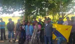 Apadrinados por Braulio Álvarez: Invasores arremeten contra productores del Hato Las Palmeras en Barinas