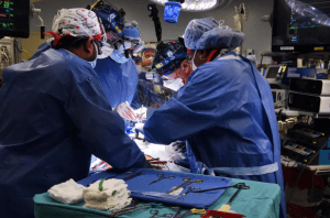 Cirujanos trasplantaron con éxito un corazón de cerdo a una persona
