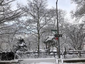 La ciudad de Nueva York amanece cubierta con la primera nieve del año (Fotos)