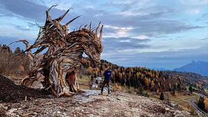 Un hermoso dragón alado custodia los bosques destruidos del norte de Italia (Fotos)