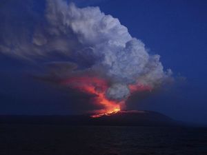 Entra en erupción el volcán “Wolf” en el archipiélago de Galápagos donde habitan especies únicas en el mundo