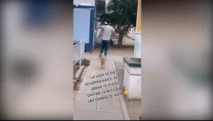 Conmovedor: perrito callejero encuentra a joven y comienza a imitar sus movimientos saltando sin parar (Video)
