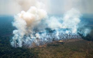 Alerta en Colombia por los incendios forestales en la Amazonia y la Orinoquía