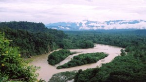 Derrame de crudo en reserva amazónica de Ecuador fue de más de seis mil barriles