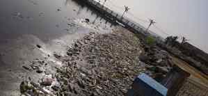 El Lago de Maracaibo, convertido en un vertedero de desechos plásticos (FOTOS)