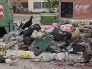 Ciudad Tavacare en Barinas, un nido de zamuros originado por la basura (VIDEO)