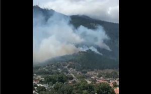 Incendio de gran magnitud afectó a habitantes de Naguanagua este #9Feb (Video)
