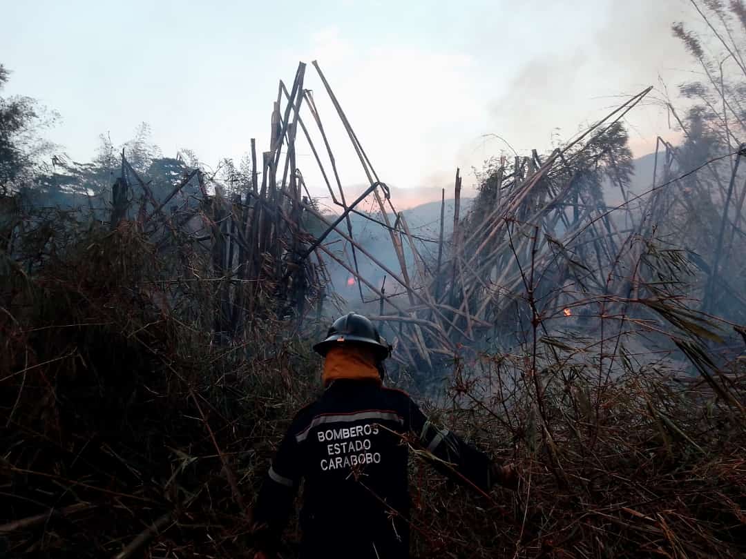 ¡Aló Corpoelec Carabobo! En Chirgüa reina la oscuridad tras incendio forestal