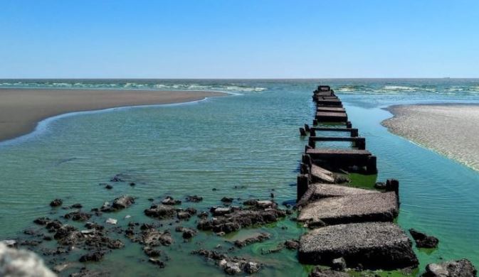 Alerta en Argentina por presencia de algas tóxicas en diferentes