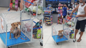 Supermercado brasilero crea carritos especiales para que mascotas acompañen a sus dueños (Fotos)