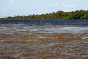 Preocupación en Delta Amacuro por inusual crecida del río Orinoco