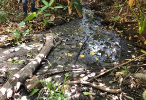 Si no era suficiente el virus de China… en Guárico sufren de plagas por agua cochina