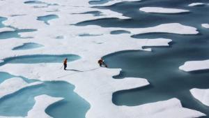 El Ártico está perdiendo hielo a un ritmo “bastante aterrador”, advierten los científicos