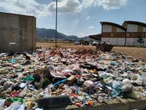 Varias ciudades de Venezuela viven entre zamuros por las fallas en el manejo de la basura
