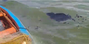 Pescadores captaron otro derrame de petróleo en el golfete de Coro (VIDEO)