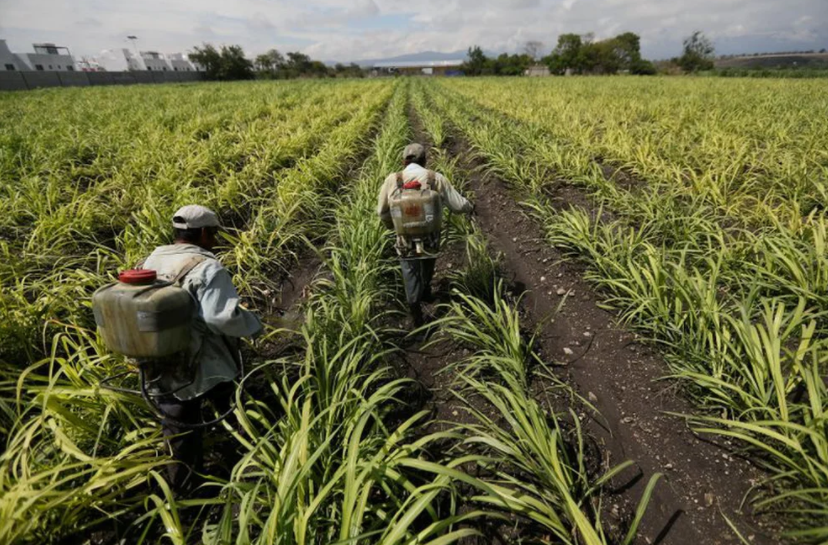 Uruguay busca nuevos proveedores de fertilizantes tras la invasión rusa a Ucrania