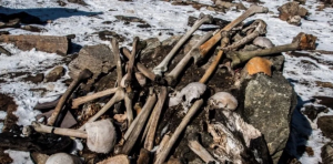 ¿Soldados o suicidio grupal? El lago helado en el Himalaya que escupe restos humanos una vez al año (Imágenes)