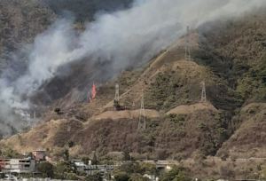 Incendio se registró en El Ávila a la altura de San Bernardino este #30Mar (Videos)