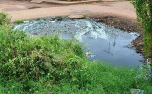 Vidas en peligro: laguna de cloacas amenaza con contaminar y enfermar a los vecinos de Calabozo en Guárico