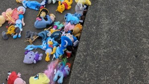 A lo Toy Story: Cientos de animales de peluche esparcidos por autopista de EEUU en misterioso incidente
