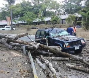 Una ciudadana se salvó luego que le cayera un árbol a su vehículo en La California (Video)