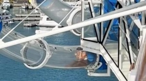 Quedó atrapada en el tobogán acuático de un crucero, suspendida sobre el mar (VIDEO)