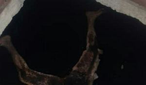 Escena espeluznante en San Juan de los Morros: Cadáver fue hallado en un tanque de agua