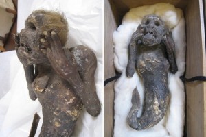 El misterio de la “sirena” momificada de 300 años con espeluznante rostro humano que desconcierta a la ciencia