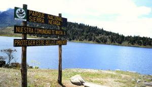 Parque Nacional Sierra Nevada: Tala indiscriminada de árboles por falta de gas en Mérida