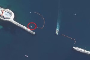 Delfines para vigilar una base naval, la curiosa estrategia rusa que busca proteger su flota en el mar Negro