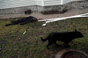 Enterradas en Bucha 340 personas de la presunta masacre rusa, según Ucrania