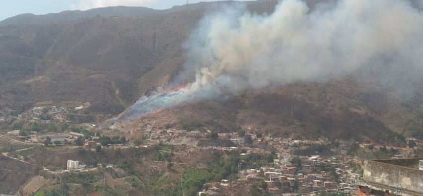 Incendio forestal se registró en la carretera vieja Caracas-La Guaira este #10Abr