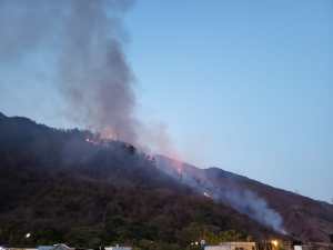 Efectivos continúan sofocando incendio que se originó en el Ávila