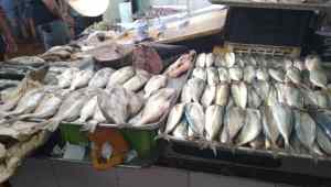 Precios de pescados establecidos por la Sundde son “de fantasía”, según comerciantes de Puerto La Cruz