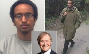 Cadena perpetua para un seguidor del Estado Islámico que asesinó a un diputado británico