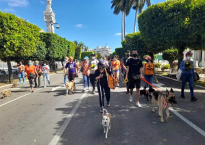 Marcharon en Cuba en protesta a un “rodeo de gatos” que escandalizó las redes