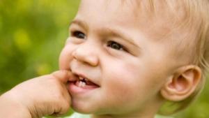 Por qué no deberías botar los dientes de leche de tu hijo si quieres salvar su vida en un futuro