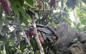 Militares del régimen realizan allanamientos arbitrarios en Apure, denuncia FundaRedes